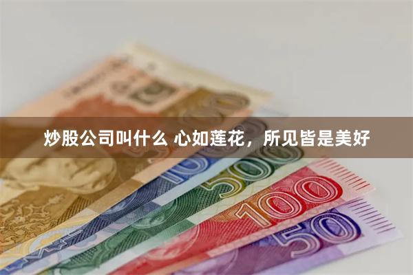 炒股公司叫什么 心如莲花，所见皆是美好