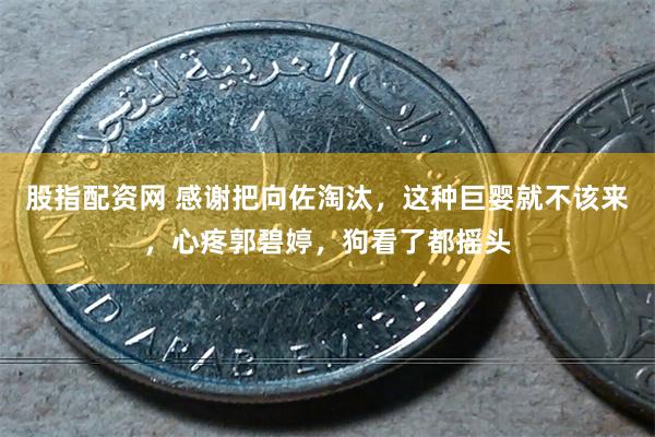 股指配资网 感谢把向佐淘汰，这种巨婴就不该来，心疼郭碧婷，狗看了都摇头