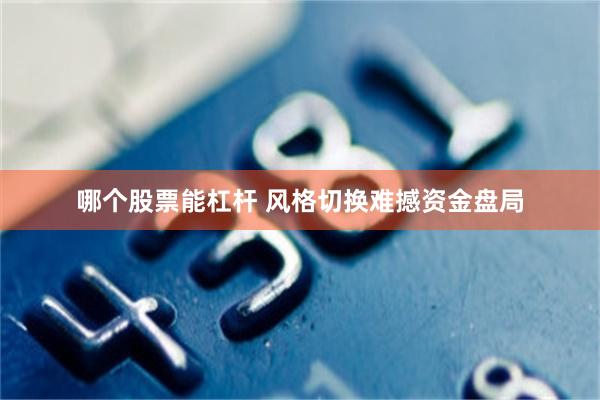 哪个股票能杠杆 风格切换难撼资金盘局