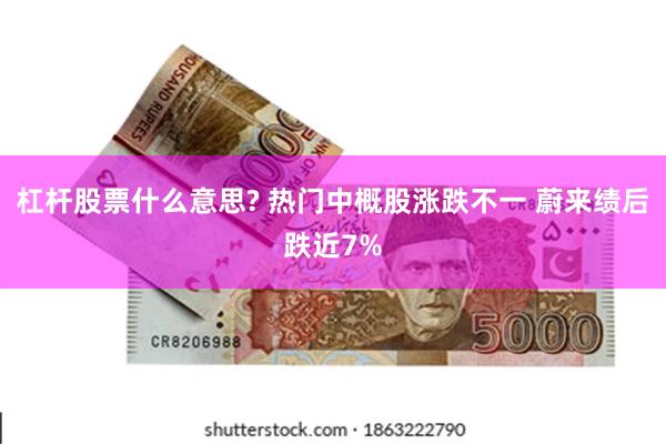 杠杆股票什么意思? 热门中概股涨跌不一 蔚来绩后跌近7%