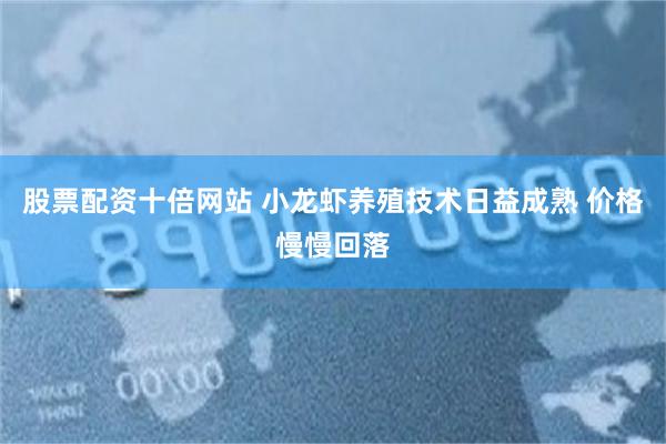 股票配资十倍网站 小龙虾养殖技术日益成熟 价格慢慢回落