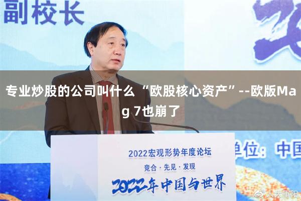 专业炒股的公司叫什么 “欧股核心资产”--欧版Mag 7也崩了