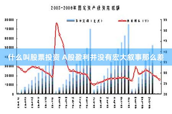 什么叫股票投资 A股盈利并没有宏大叙事那么差