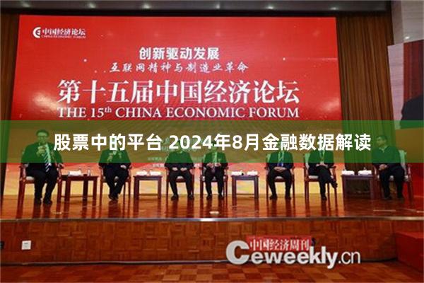 股票中的平台 2024年8月金融数据解读