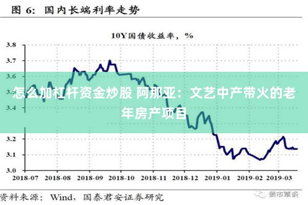 怎么加杠杆资金炒股 阿那亚：文艺中产带火的老年房产项目