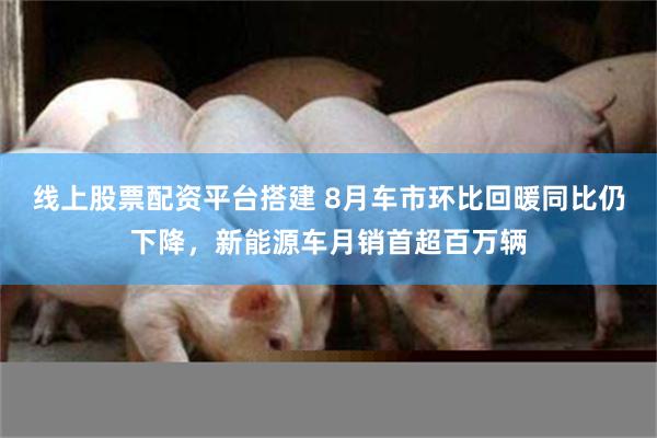 线上股票配资平台搭建 8月车市环比回暖同比仍下降，新能源车月销首超百万辆