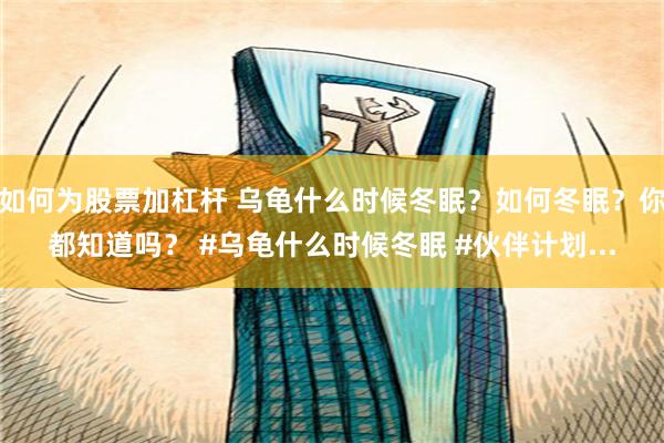 如何为股票加杠杆 乌龟什么时候冬眠？如何冬眠？你都知道吗？ #乌龟什么时候冬眠 #伙伴计划...
