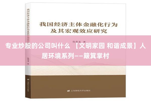 专业炒股的公司叫什么 【文明家园 和谐成景】人居环境系列——簸箕掌村