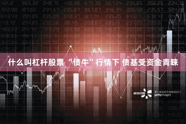 什么叫杠杆股票 “债牛”行情下 债基受资金青睐