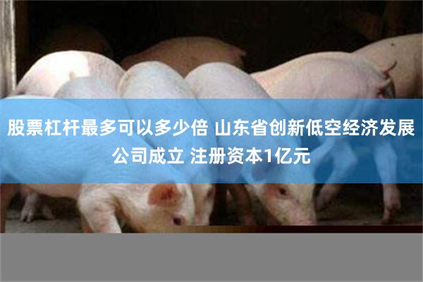 股票杠杆最多可以多少倍 山东省创新低空经济发展公司成立 注册资本1亿元