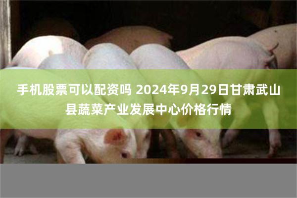 手机股票可以配资吗 2024年9月29日甘肃武山县蔬菜产业发展中心价格行情