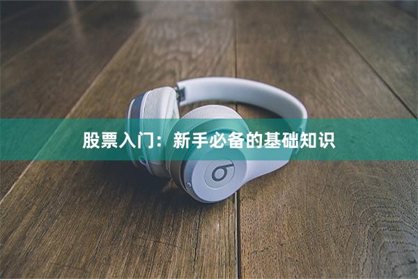 股票入门：新手必备的基础知识