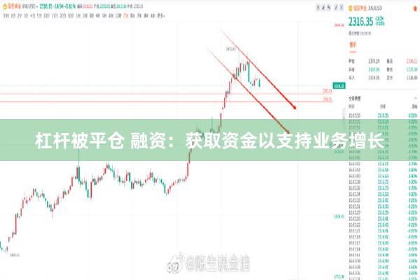 杠杆被平仓 融资：获取资金以支持业务增长
