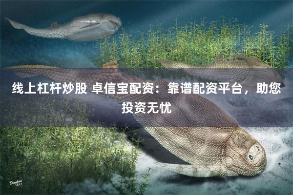 线上杠杆炒股 卓信宝配资：靠谱配资平台，助您投资无忧