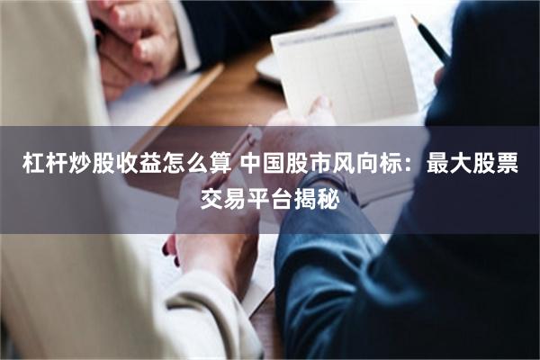 杠杆炒股收益怎么算 中国股市风向标：最大股票交易平台揭秘