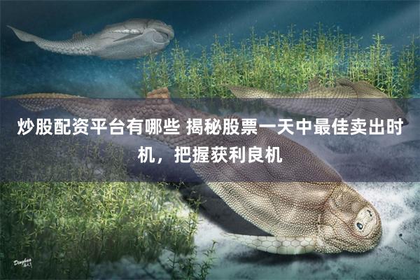 炒股配资平台有哪些 揭秘股票一天中最佳卖出时机，把握获利良机