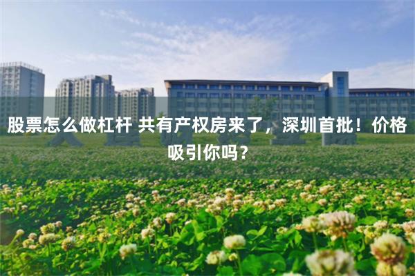 股票怎么做杠杆 共有产权房来了，深圳首批！价格吸引你吗？