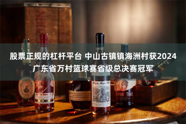 股票正规的杠杆平台 中山古镇镇海洲村获2024广东省万村篮球赛省级总决赛冠军