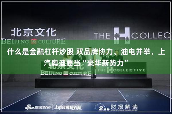 什么是金融杠杆炒股 双品牌协力、油电并举，上汽奥迪要当“豪华新势力”