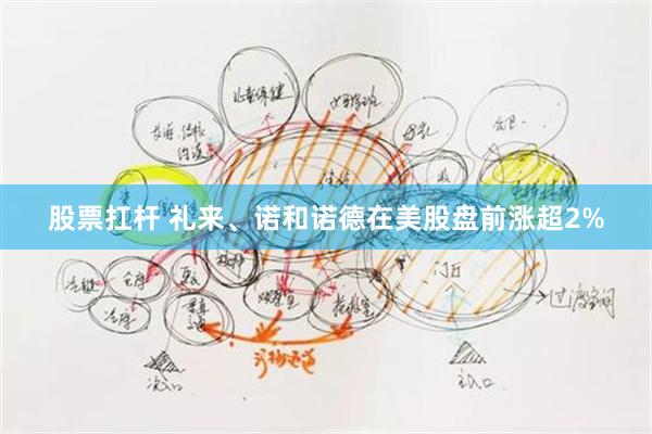 股票扛杆 礼来、诺和诺德在美股盘前涨超2%