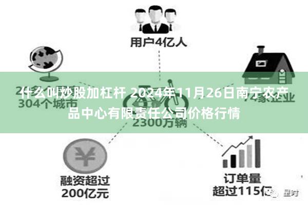 什么叫炒股加杠杆 2024年11月26日南宁农产品中心有限责任公司价格行情
