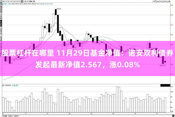 股票杠杆在哪里 11月29日基金净值：诺安双利债券发起最新净值2.567，涨0.08%