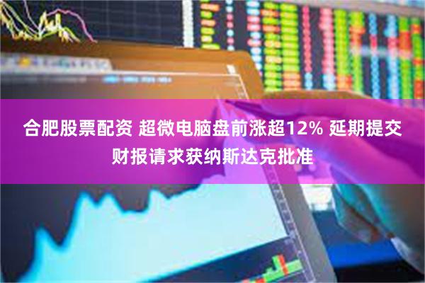 合肥股票配资 超微电脑盘前涨超12% 延期提交财报请求获纳斯达克批准