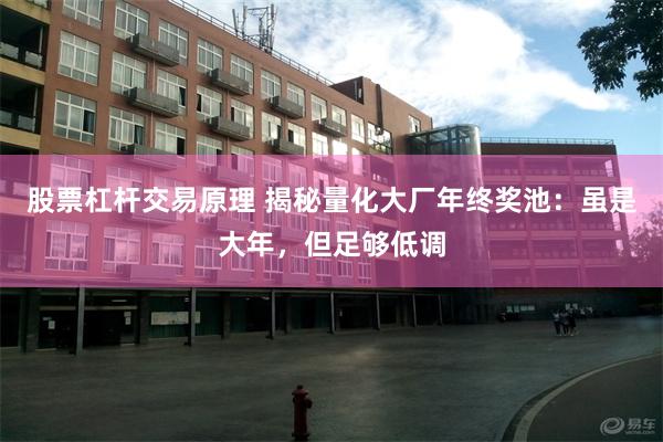 股票杠杆交易原理 揭秘量化大厂年终奖池：虽是大年，但足够低调