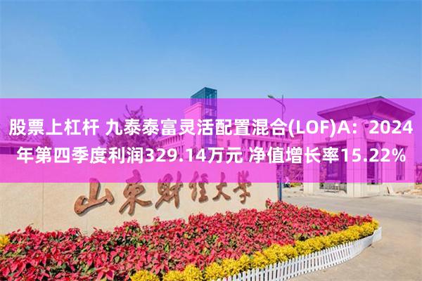 股票上杠杆 九泰泰富灵活配置混合(LOF)A：2024年第四季度利润329.14万元 净值增长率15.22%