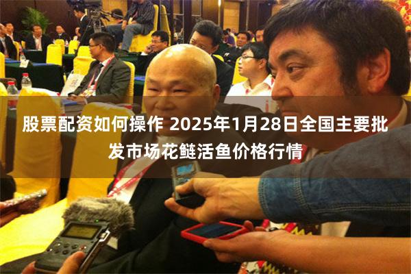 股票配资如何操作 2025年1月28日全国主要批发市场花鲢活鱼价格行情
