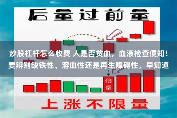 炒股杠杆怎么收费 人是否贫血，血液检查便知！要辨别缺铁性、溶血性还是再生障碍性，早知道