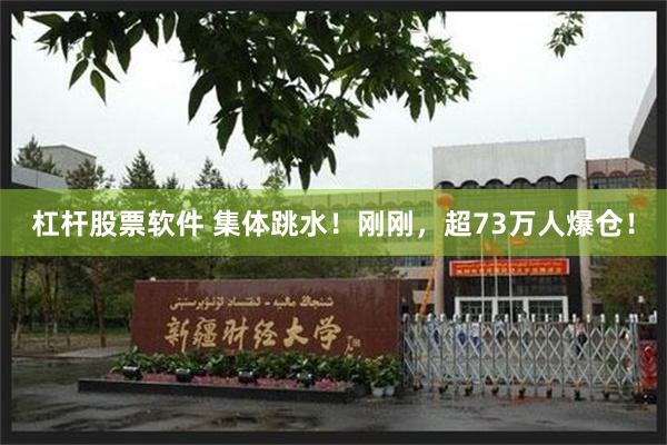 杠杆股票软件 集体跳水！刚刚，超73万人爆仓！