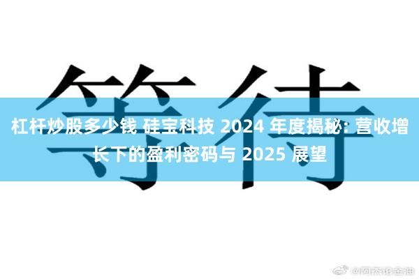 杠杆炒股多少钱 硅宝科技 2024 年度揭秘: 营收增长下的盈利密码与 2025 展望