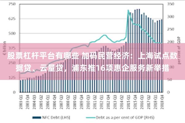 股票杠杆平台有哪些 加码民营经济：上海试点数据贷、云量贷，浦东推16项惠企服务新举措
