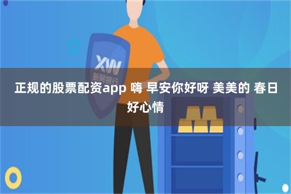 正规的股票配资app 嗨 早安你好呀 美美的 春日好心情