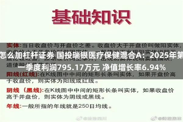 怎么加杠杆证券 国投瑞银医疗保健混合A：2025年第一季度利润795.17万元 净值增长率6.94%