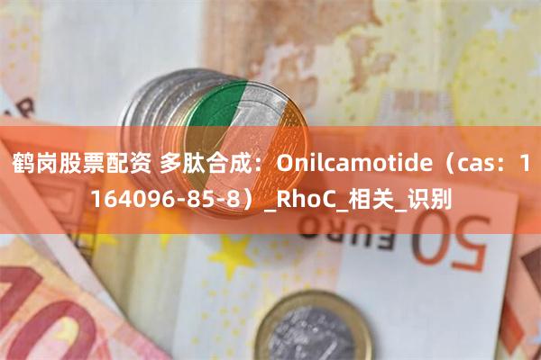 鹤岗股票配资 多肽合成：Onilcamotide（cas：1164096-85-8）_RhoC_相关_识别