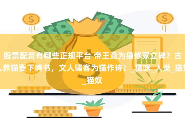 股票配资有哪些正规平台 帝王竟为猫修冢立碑？古人养猫要下聘书，文人骚客为猫作诗！_猫咪_人类_猫奴