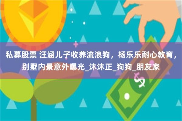 私募股票 汪涵儿子收养流浪狗，杨乐乐耐心教育，别墅内景意外曝光_沐沐正_狗狗_朋友家