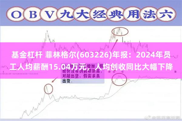 基金杠杆 菲林格尔(603226)年报：2024年员工人均薪酬15.04万元，人均创收同比大幅下降