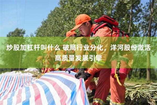 炒股加杠杆叫什么 破局行业分化，洋河股份激活高质量发展引擎
