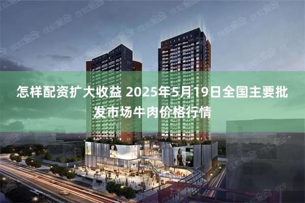 怎样配资扩大收益 2025年5月19日全国主要批发市场牛肉价格行情
