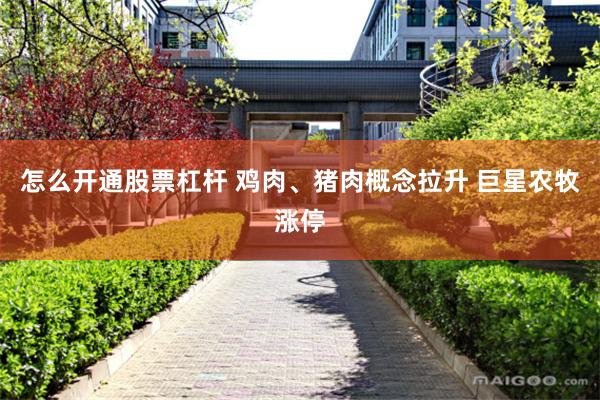 怎么开通股票杠杆 鸡肉、猪肉概念拉升 巨星农牧涨停