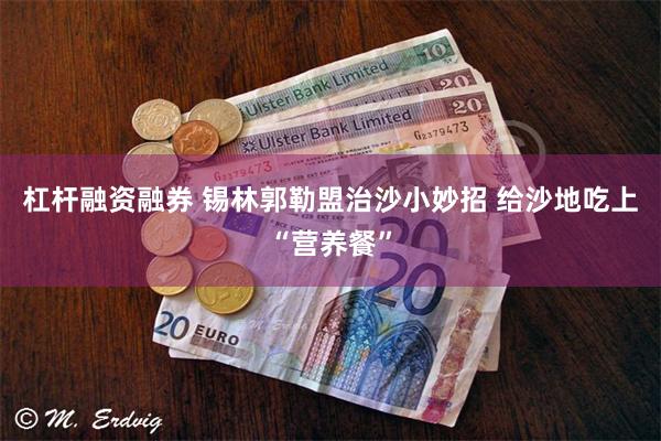 杠杆融资融券 锡林郭勒盟治沙小妙招 给沙地吃上“营养餐”