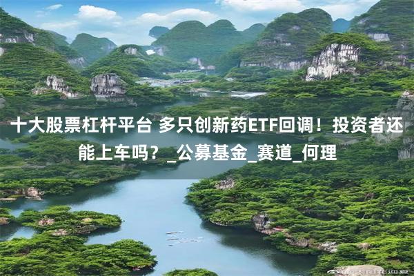 十大股票杠杆平台 多只创新药ETF回调！投资者还能上车吗？_公募基金_赛道_何理