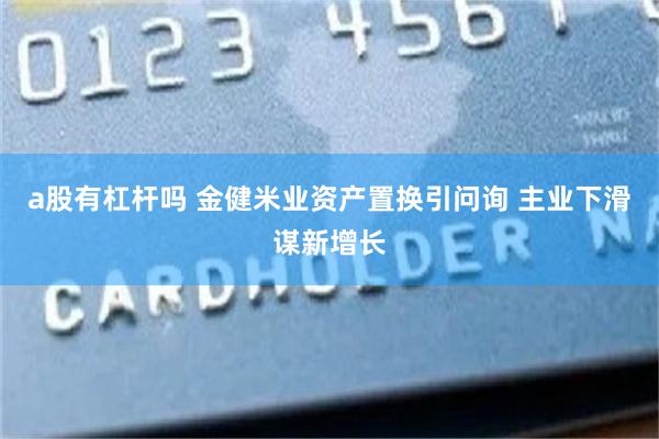 a股有杠杆吗 金健米业资产置换引问询 主业下滑谋新增长