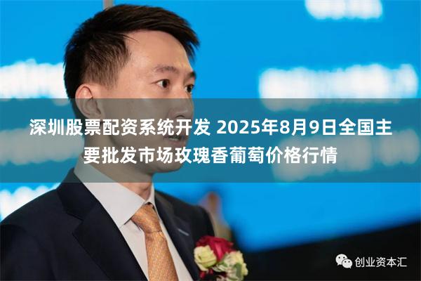 深圳股票配资系统开发 2025年8月9日全国主要批发市场玫瑰香葡萄价格行情